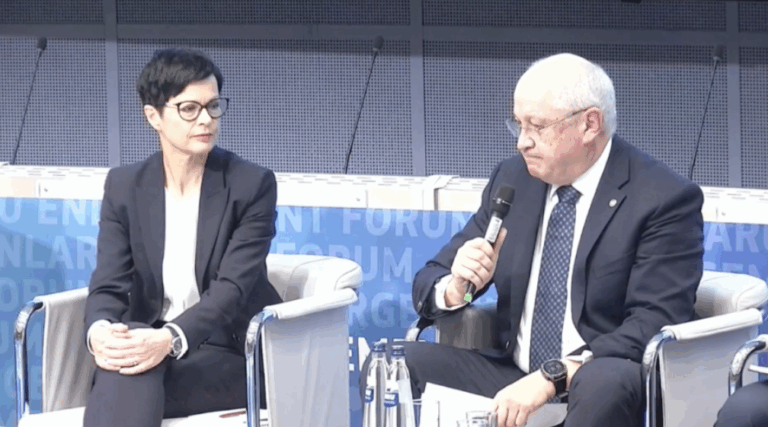 Munteanu’s message at the Brussels Forum: Enlargement is our investment in stability