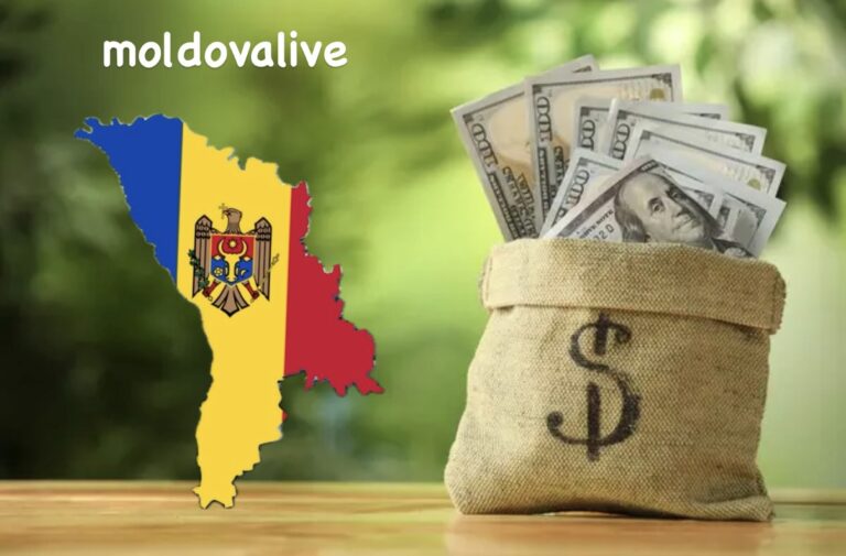 IT Sector Generates Over 25% of Moldova’s Services Exports in 2025, Exceeding $600 Million