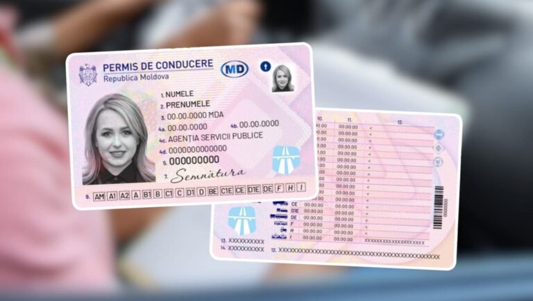 Easier for Our Citizens: Moldova, UAE Agree on License Recognition