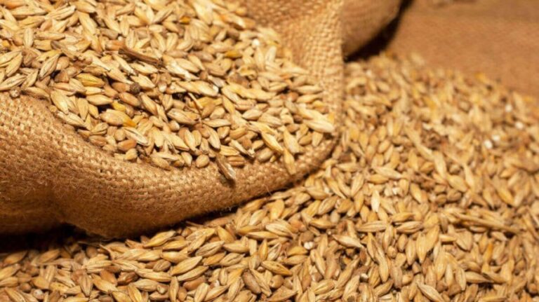 Indonesia is tightening phytosanitary regulations for wheat imports from the Republic of Moldova effective June 1