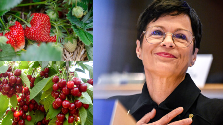 (VIDEO) Marta Kos is looking forward to picking strawberries and cherries in Moldova: We’ll go hiking with the president and kayaking on the Dniester