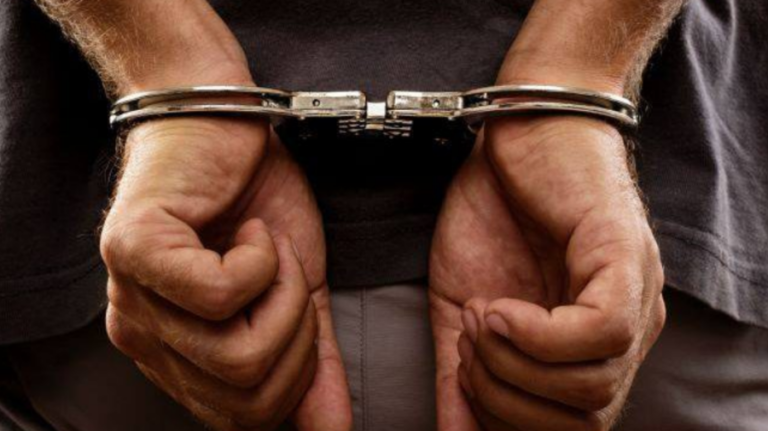 Man Detained for Allegedly Defrauding 83-Year-Old Pensioner of €740,000