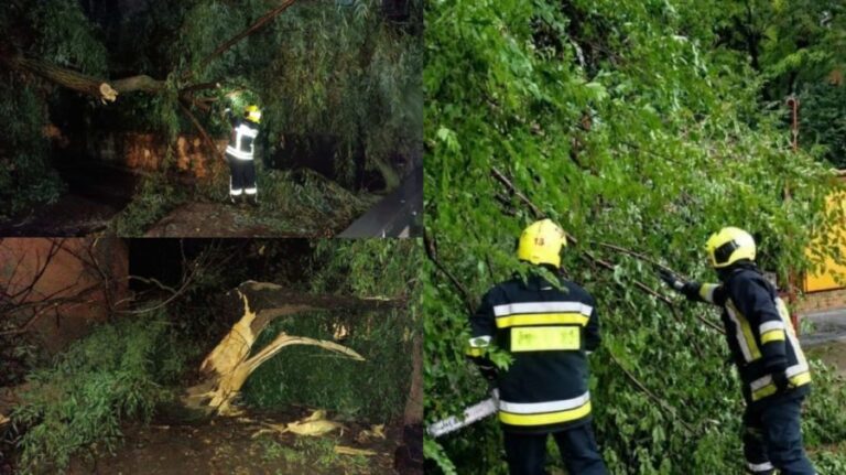 Bad weather has caused damage in several towns. Fallen trees and flooded basements following torrential rains