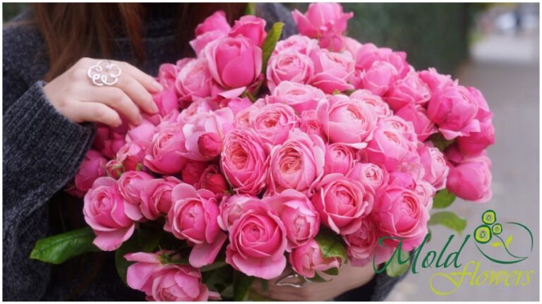 Send Flowers to Moldova from Anywhere in the World — Fast and Reliable